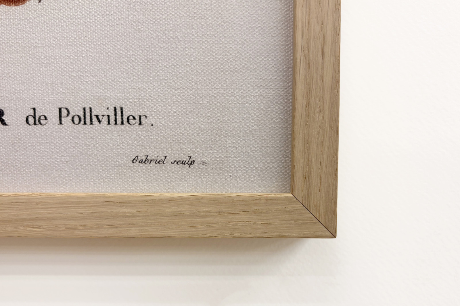Poirier de Pollviller - in „Nouveau Duhamel du Monceau ou traité des arbres et shrustes que le culture en France“ - Pierre Joseph (after) Redoute