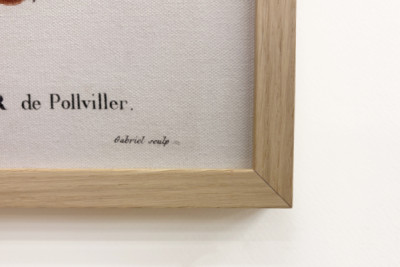 Poirier de Pollviller - in „Nouveau Duhamel du Monceau ou traité des arbres et shrustes que le culture en France“