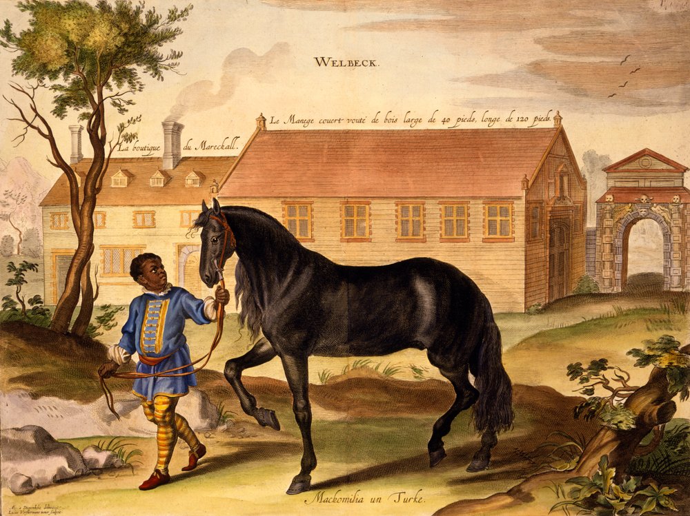 Makomilia, ein Türke, geführt von einem Schwarzen Stalljungen in Livree, aus „Die Methode und neue Erfindung, Pferde zu dressieren“ von William Cavendish, veröffentlicht 1737 (2. Auflage) von Abraham van Diepenbeeck