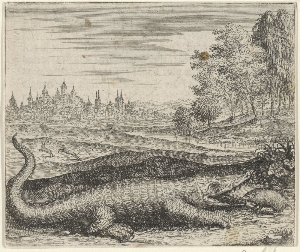 Fabel vom Krokodil und Mungo von Egidius  Sadeler (II)