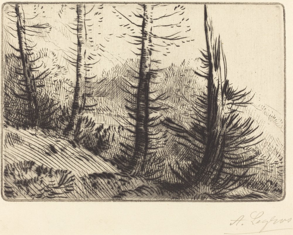 In den Pyrenäen von Alphonse Legros