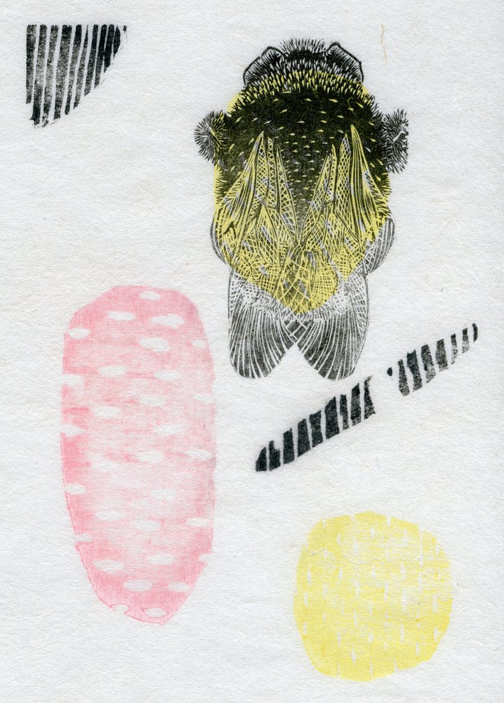 Atom-Hummel, 2013 von Bella Larsson