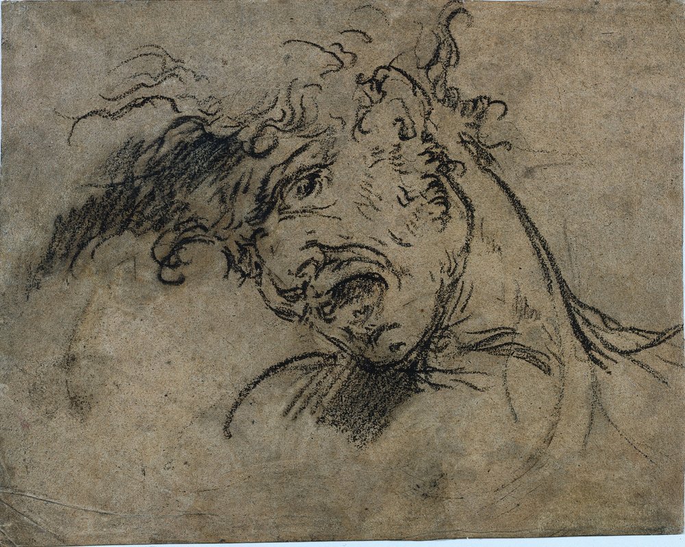 Kopf eines schreienden Mannes (recto) von Benjamin West
