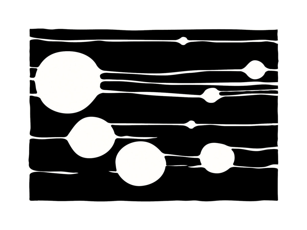 Ohne Titel 2009 (schwarz) von Carl Abbott