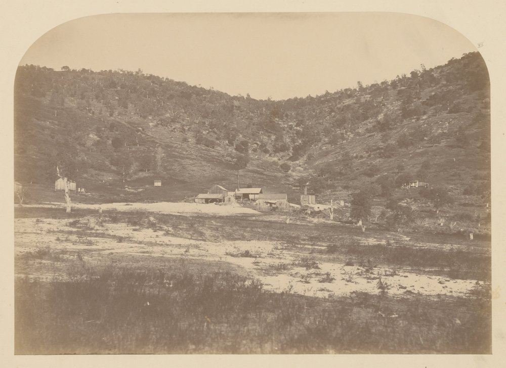 (Bear Valley Mill) von Carleton E. Watkins