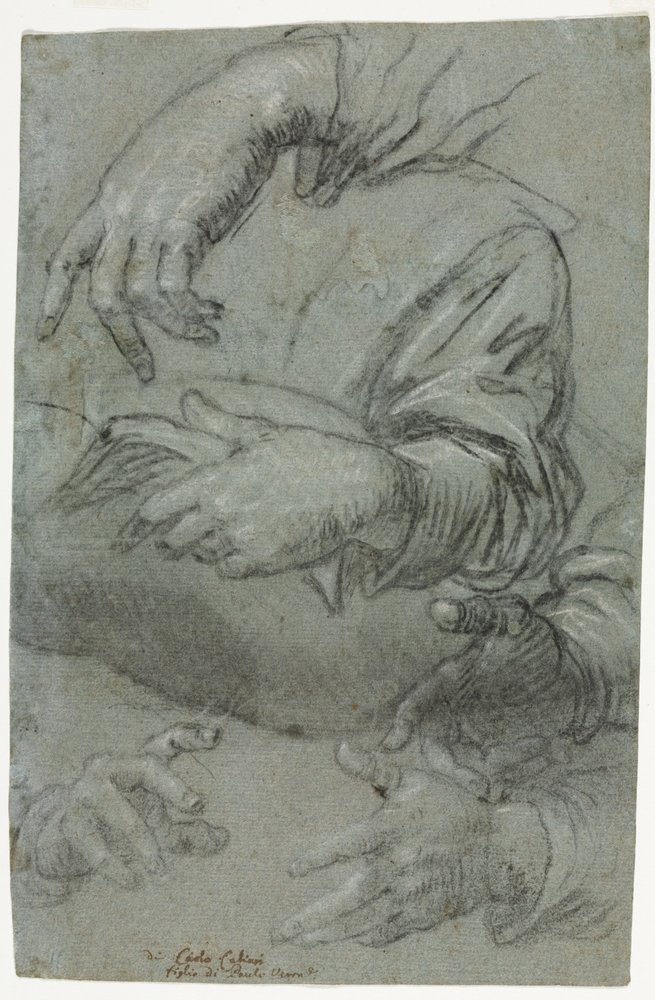 Studien von Händen (recto) von Carletto Caliari