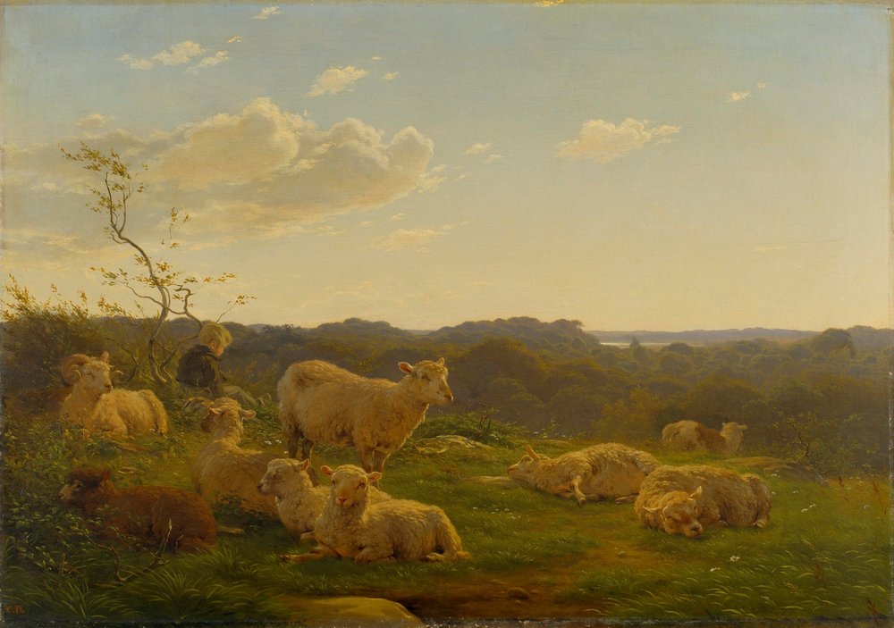 Schafe auf einem Hügel in der Nähe von Skarridsø. von Carlo Dalgas