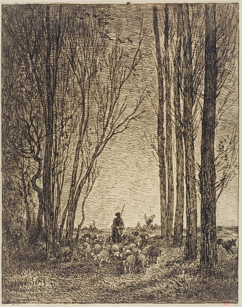 Rückkehr der Herde von Charles Francois Daubigny