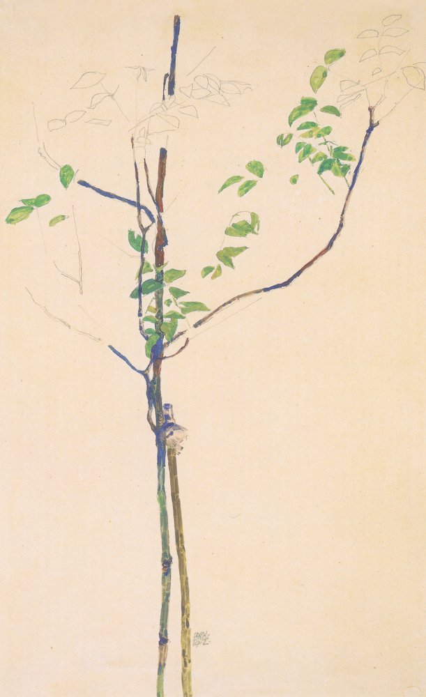 Junges Bäumchen mit Stütze von Egon Schiele
