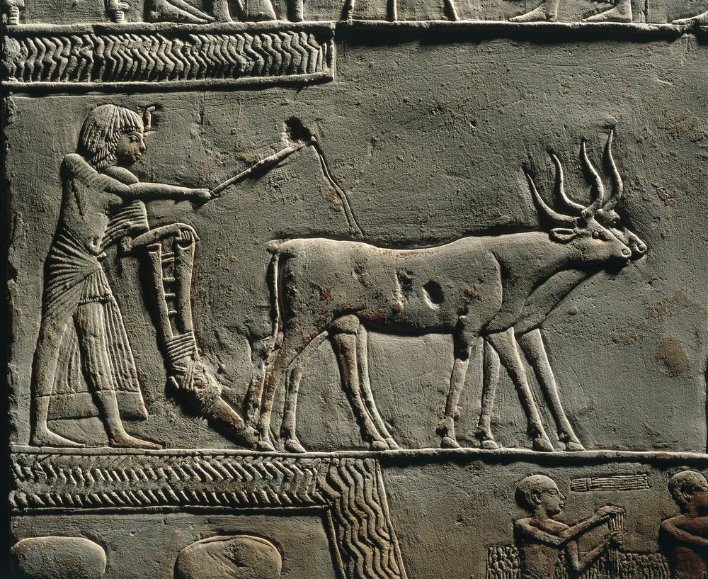 Horemheb pflügt Land in den Feldern von Iaru. Relief aus dem Grab von Horemheb in Saqqara (Detail) von Egyptian 18th Dynasty