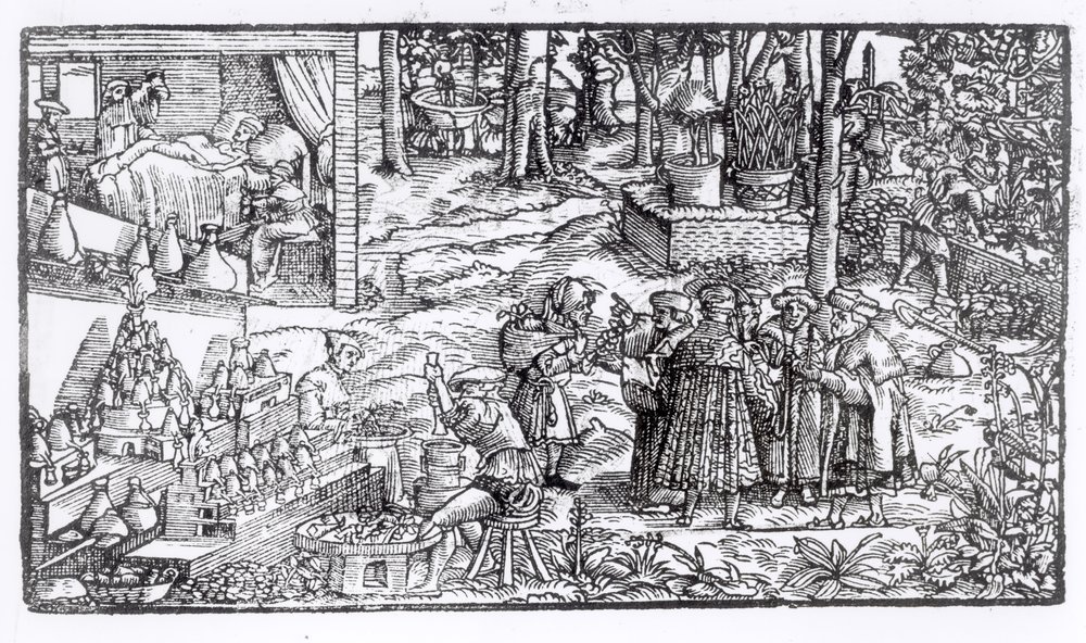 Medizinischer Kräuteranbau, 1531 von English School