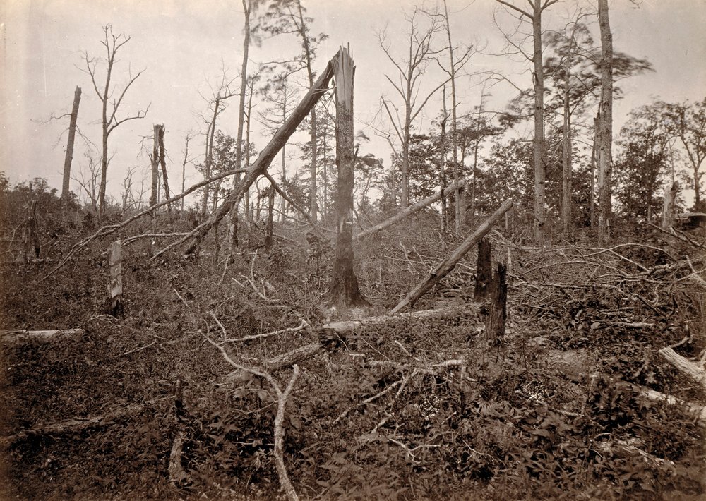 Die "Höllenloch", New Hope Church, Georgia, aus Fotografische Ansichten von Shermans Feldzug, Platte 27 von George N. Barnard