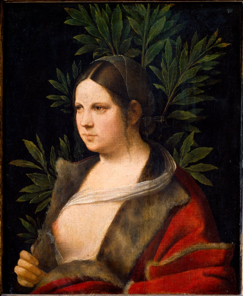 Porträt von Laure von Giorgione