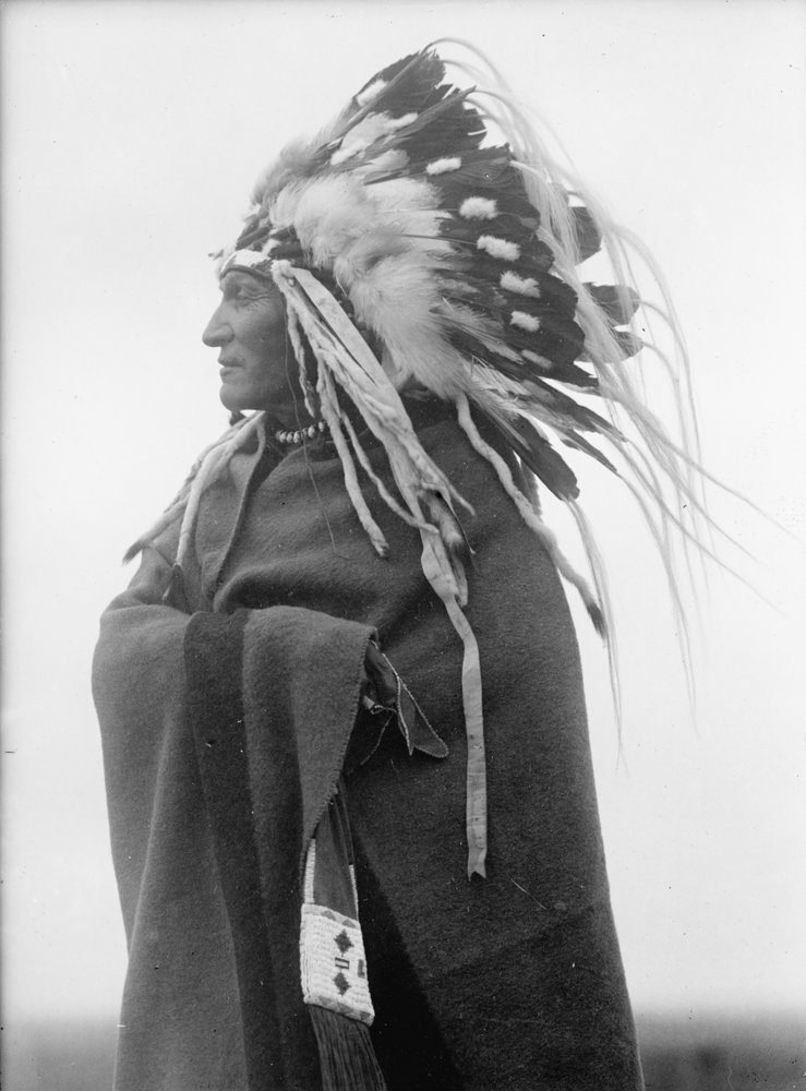 Lazy Boy, Indianerhäuptling von Harris & Ewing