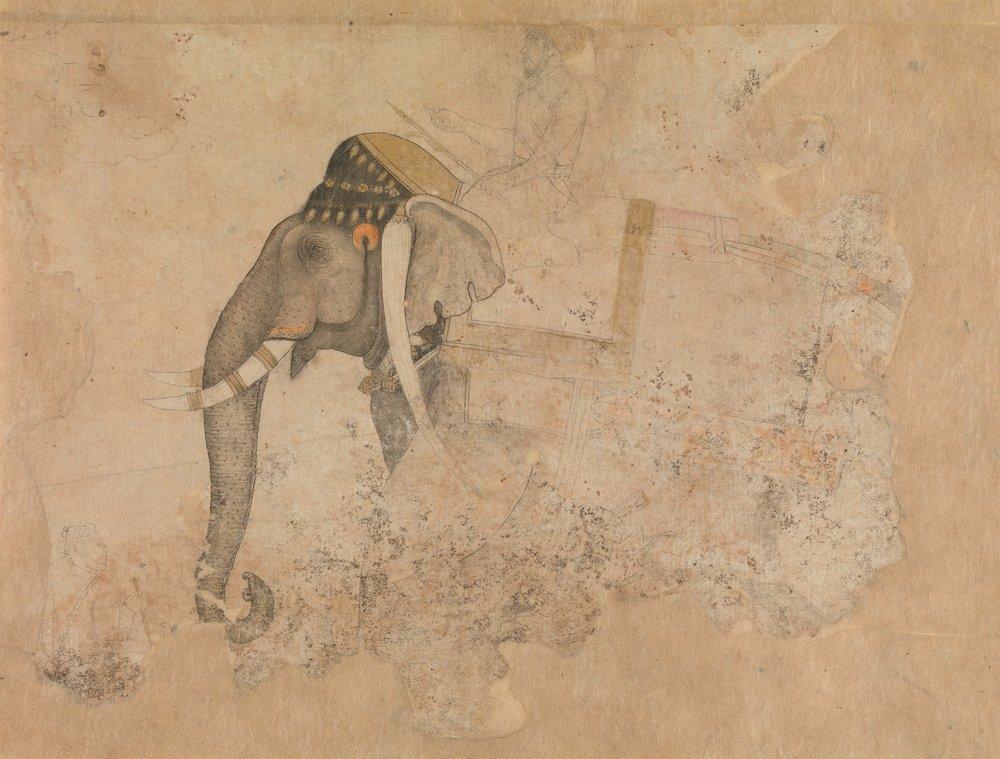 Elefant und Reiter, ca. 1640 von Hashim.