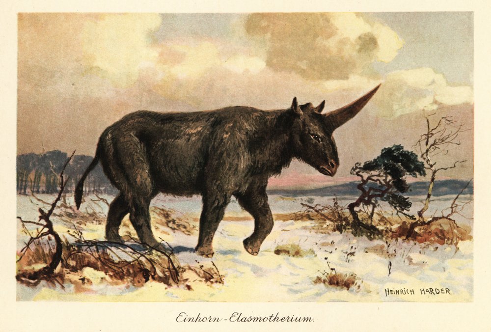 Sibirisches Einhorn, Elasmotherium sibiricum, auf einer verschneiten Ebene. von Heinrich Harder