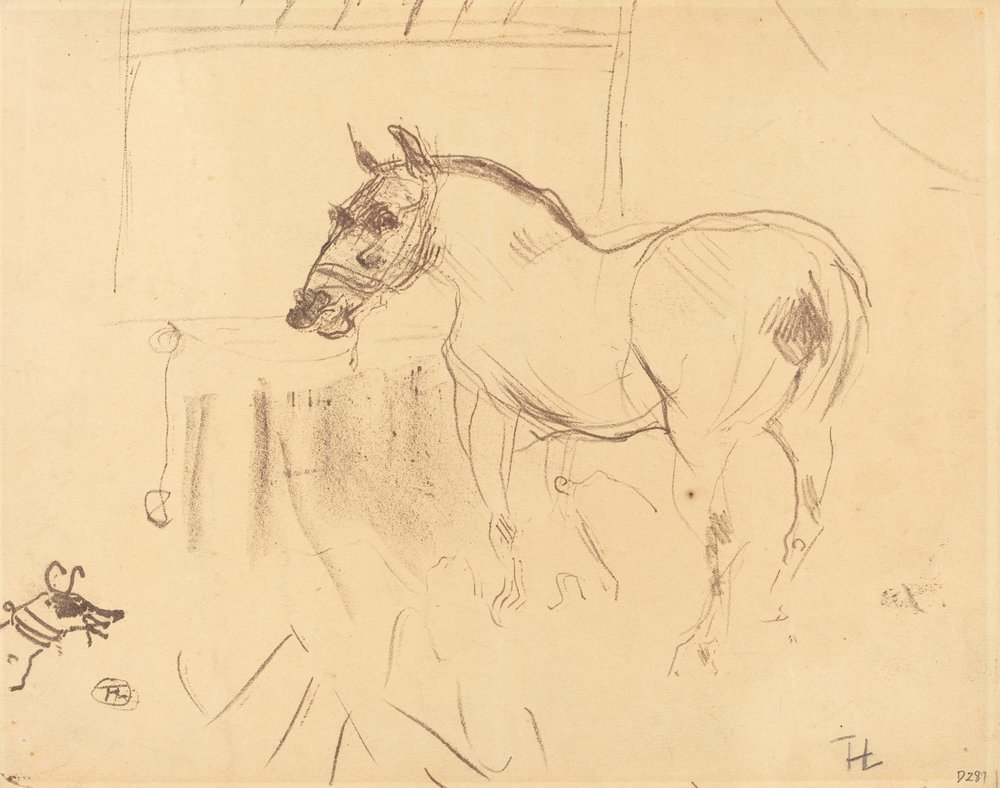 das-kleine-pony-von-calmese-von-henri-de-toulouse-lautrec