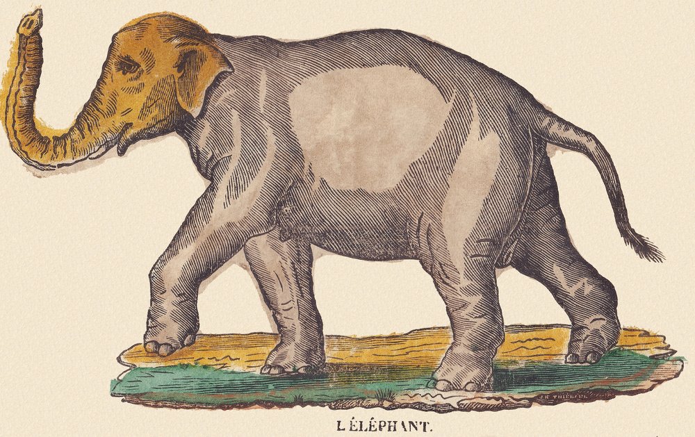 Der Elefant, ca. 1840-1852 von Jean-Baptiste Thiebault