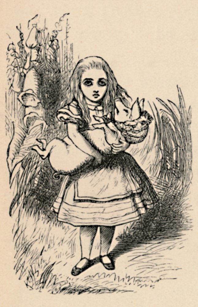 Alice hält ein Schwein in ihren Armen, 1889 von John Tenniel
