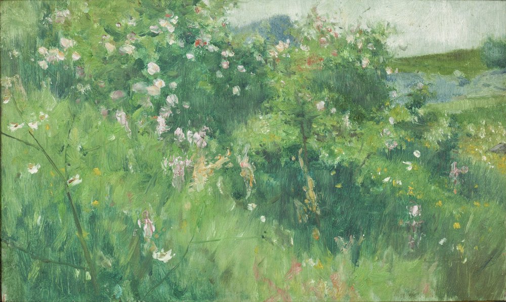 Blühende Wildrosenbüsche auf der Insel Tjörn von Karl Fredrick Nordstrom