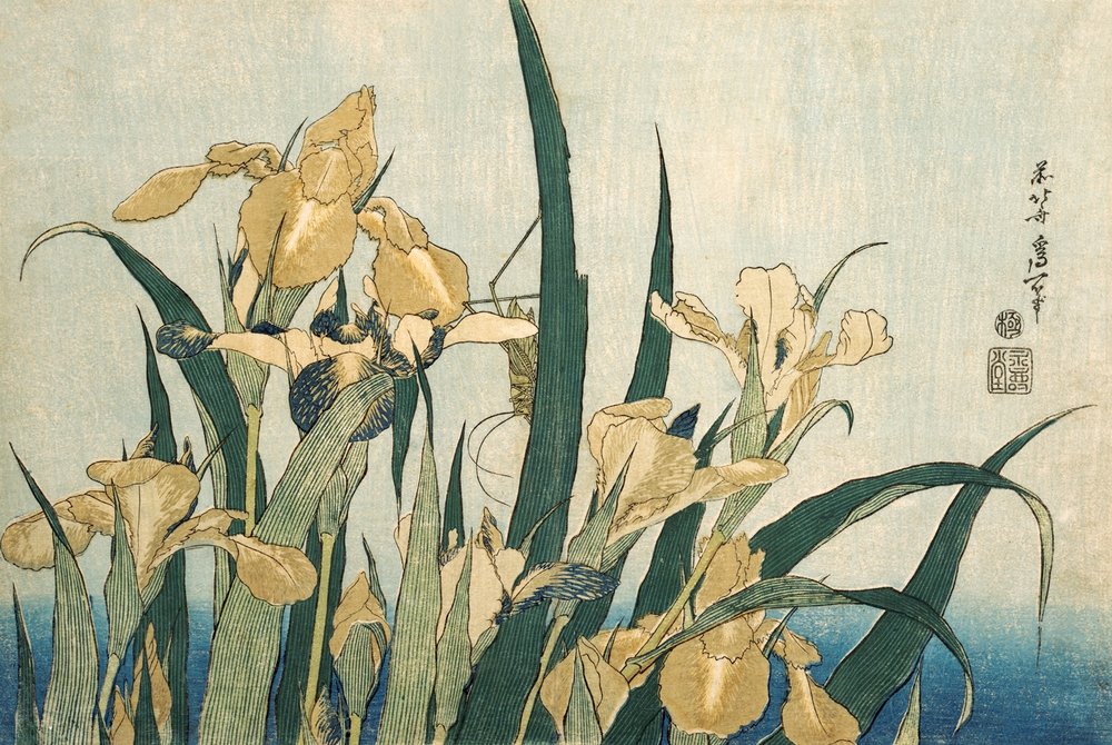 Schwertlilien mit einer Heuschrecke, veröffentlicht 1830 von Katsushika Hokusai
