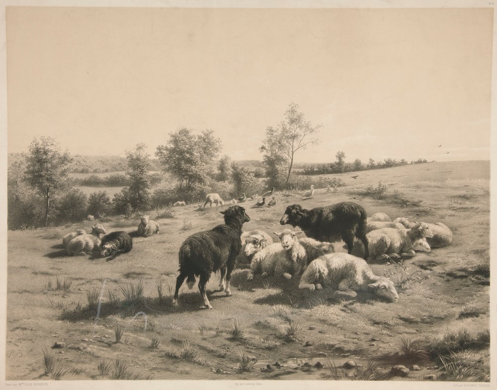 Die Schafe von Louis Emmanuel Soulange-Teissier