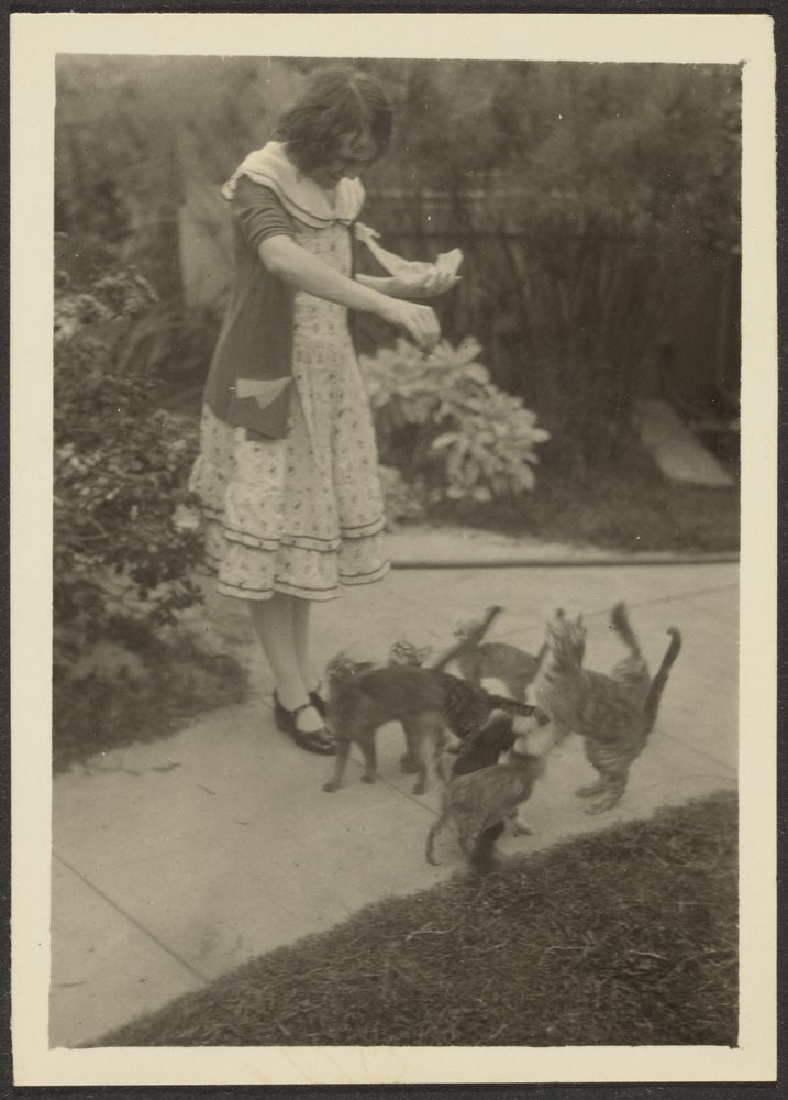 [Florence und Katzen] von Louis Fleckenstein