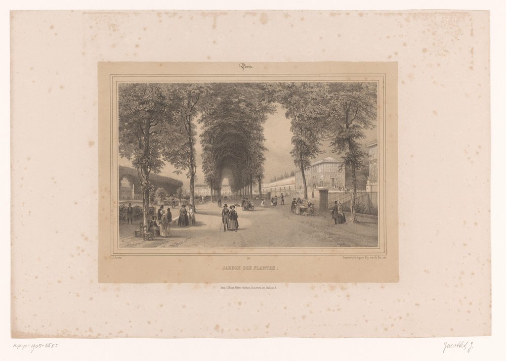 Blick auf den Jardin des Plantes von Louis Julien Jacottet