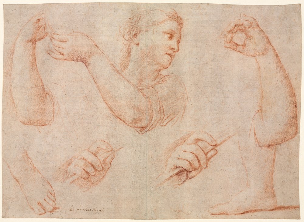 Studie einer jungen Frau, die ein Tamburin spielt, und Studien eines Arms, Hände und Füße (Studien für "Miriam führt den Chor der Frauen, die für die Niederlage des Pharao danken") von Marcantonio Franceschini