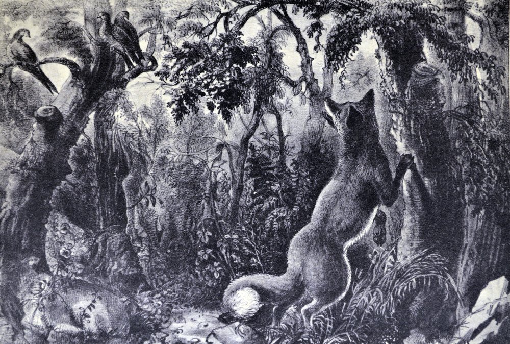 Der verwirrte Fuchs von N. and Ives, J.M. Currier