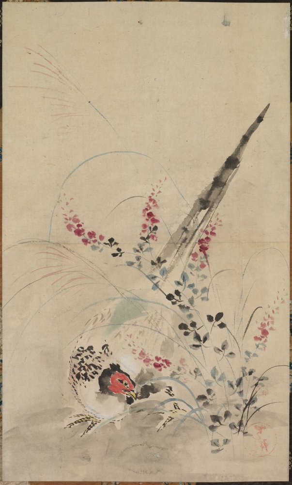 Fasan und Gräser von Ogata Korin