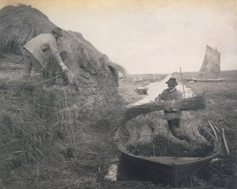 Ricking the Reed, Leben und Landschaft auf den Norfolk Broads, ca. 1886