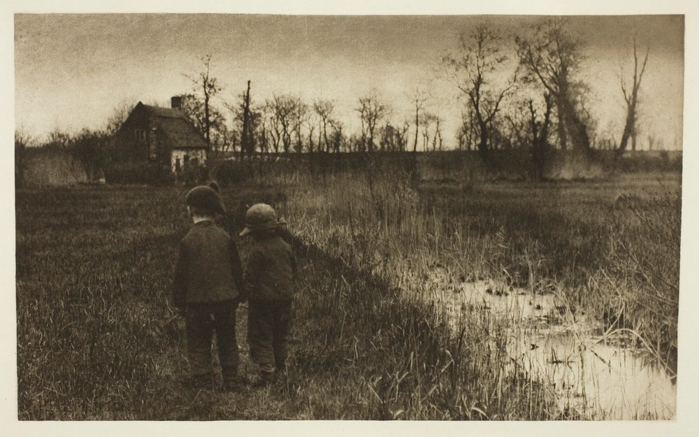 Eine Kröte auf dem Weg: Früher Frühling in Norfolk von Peter Henry Emerson