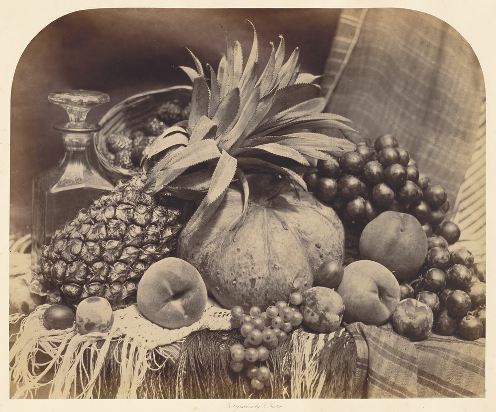 [Stillleben mit Früchten und Karaffe] von Roger Fenton