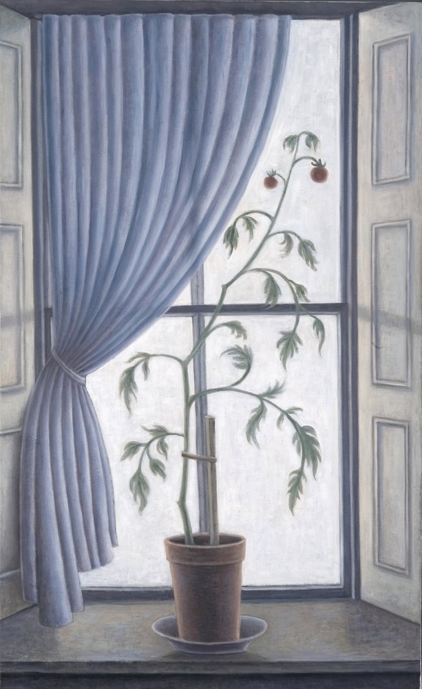 Pflanze im Fenster, 2003 von Ruth Addinall