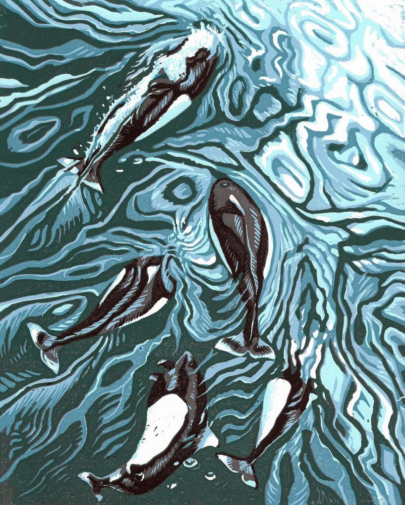 Wake Riders, 2016 von Sarah Drummond