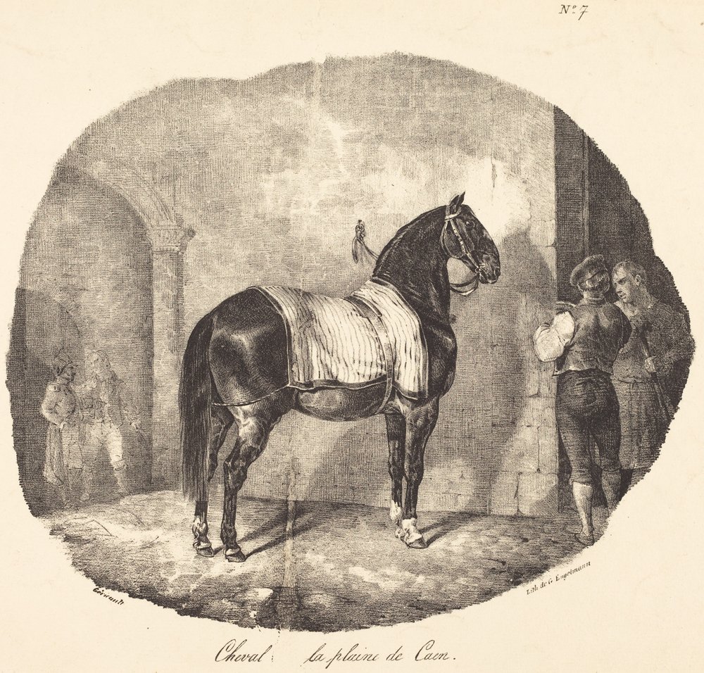 Pferd aus der Ebene von Caen von Theodore Gericault
