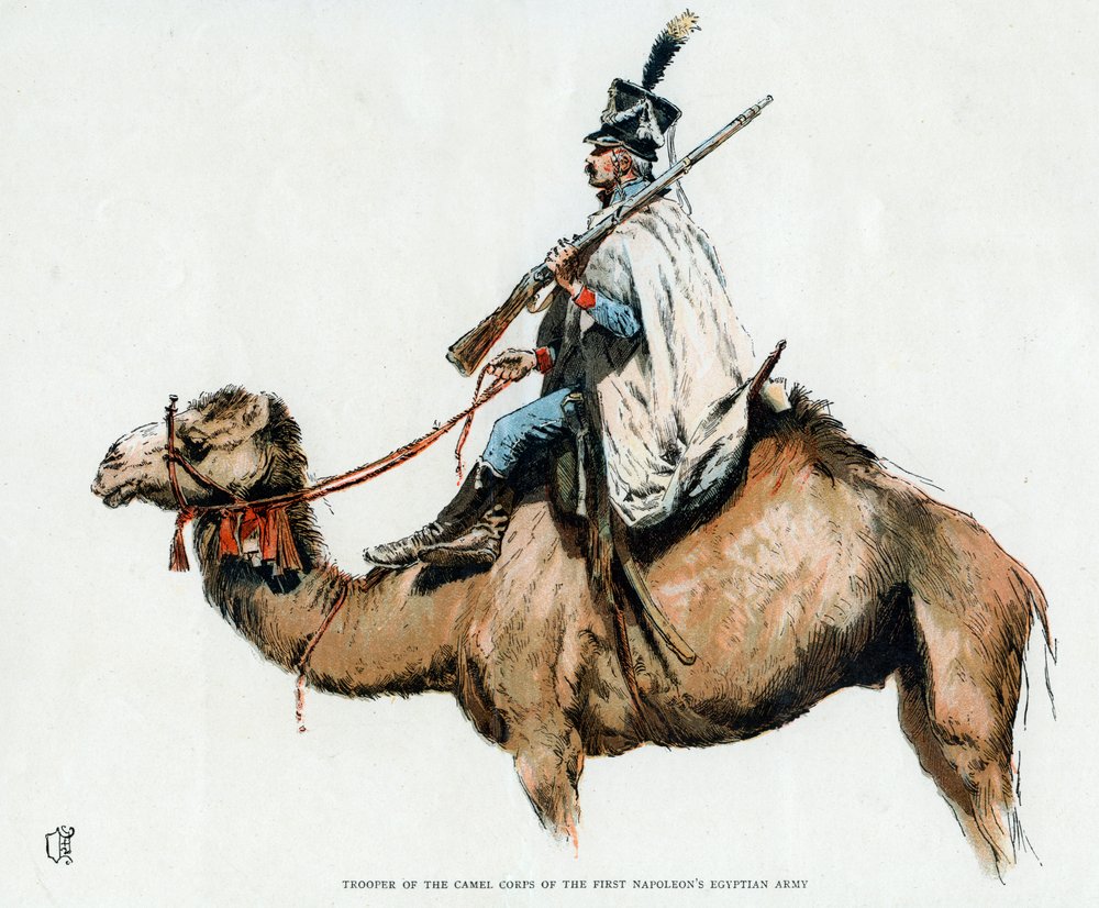 Kavallerist des Kamelkorps der ägyptischen Armee Napoleons I.