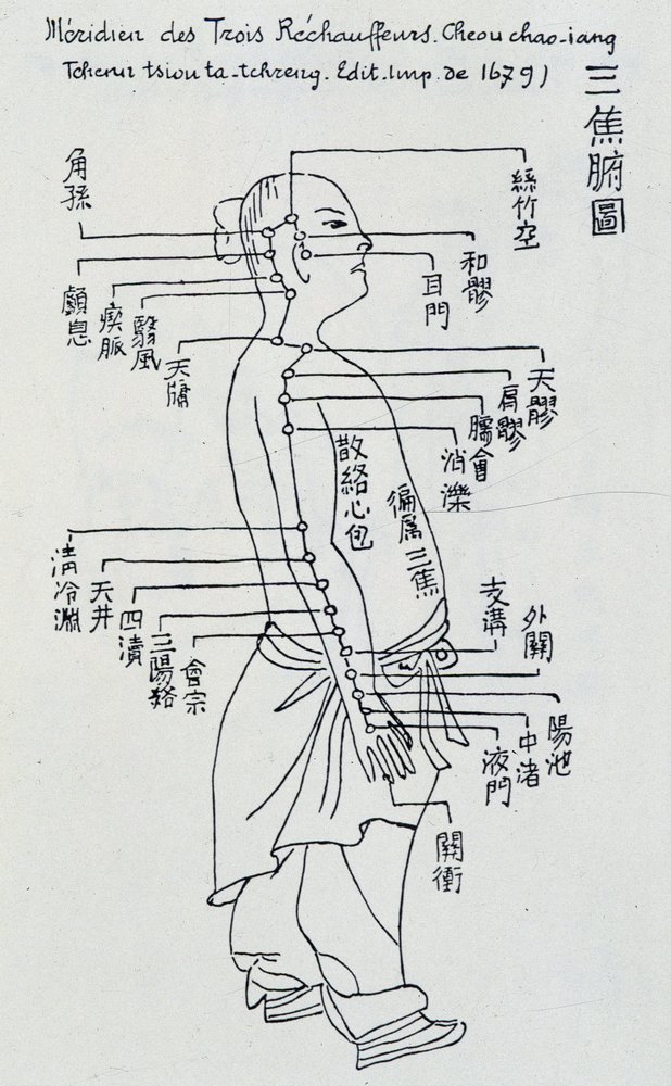 Chinesische Akupunktur: der Meridian der drei Erwärmer von Unknown artist