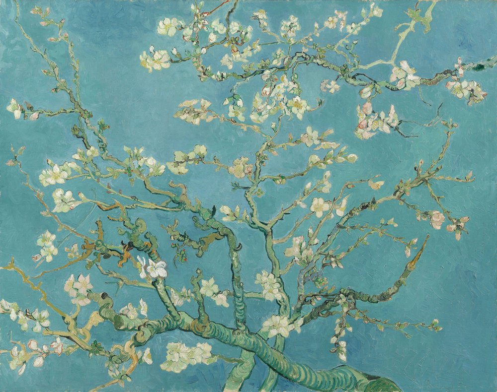 Mandelblüte von Vincent van Gogh