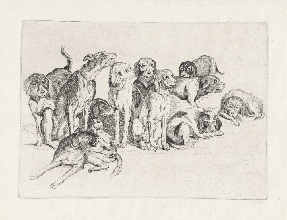 Elf Jagdhunde von Wenceslaus Hollar