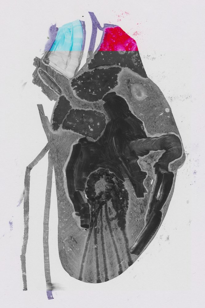 Durchschnitt von Alexander Adiels