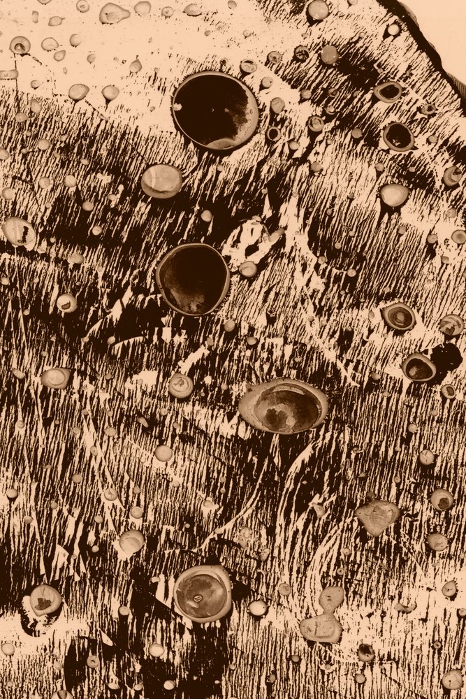 Sauerstoff von Alexander Adiels