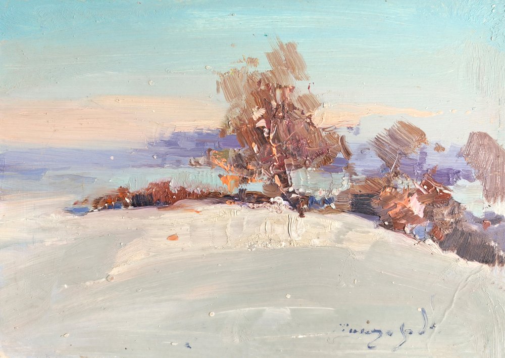 Winterlandschaftsglanz von Alexander Shandor