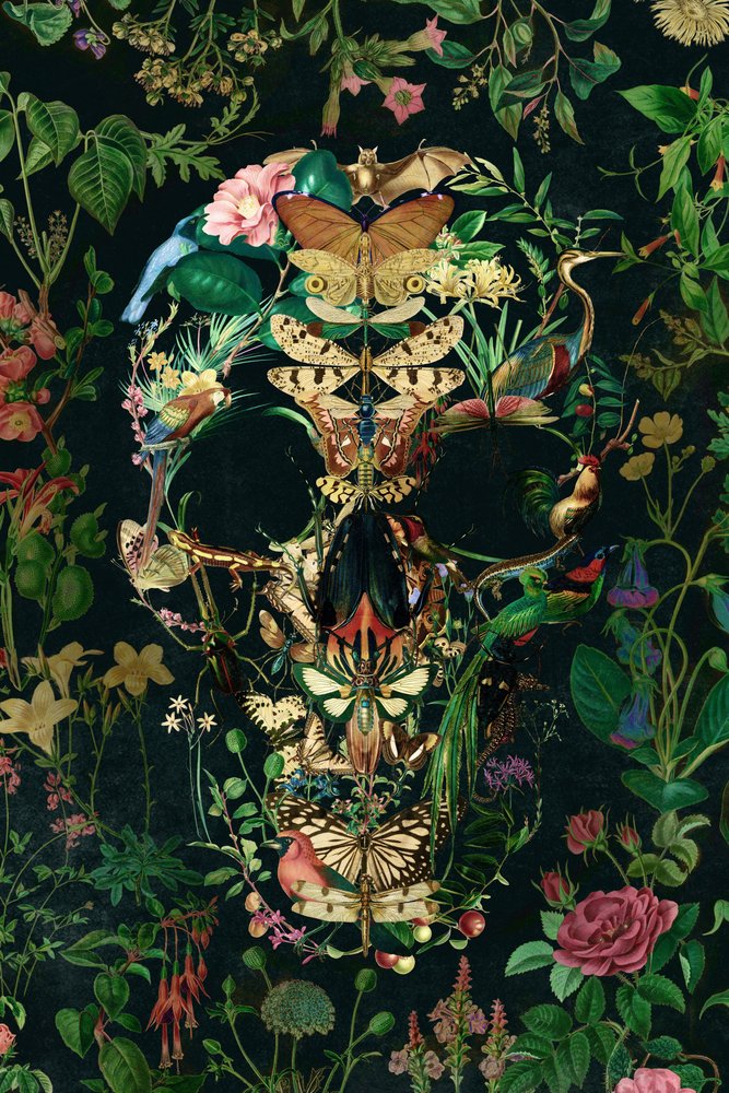 Dunkler Natur-Schädel von Ali Gulec