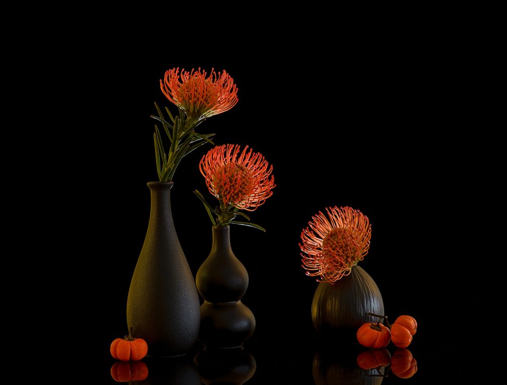 Herbst Protea Stillleben von Alice Sheng