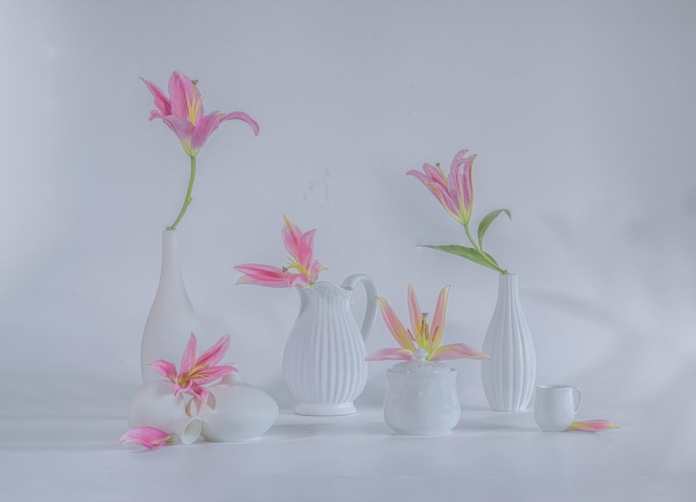 Zarte Rosa Lilien von Alice Sheng