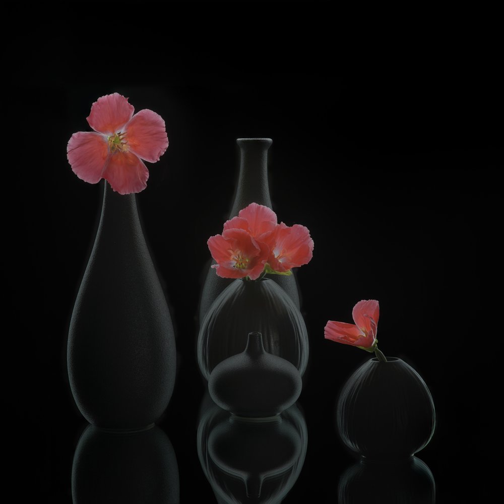 Minimalistische Blumenvasen von Alice Sheng