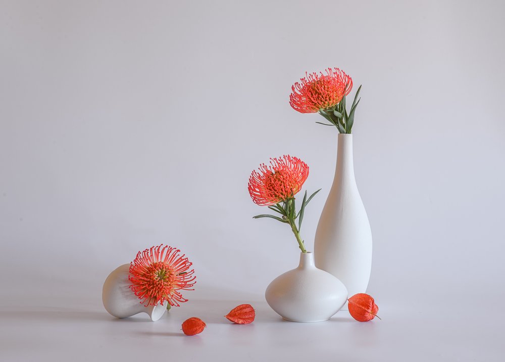 Orange Protea Vasen von Alice Sheng