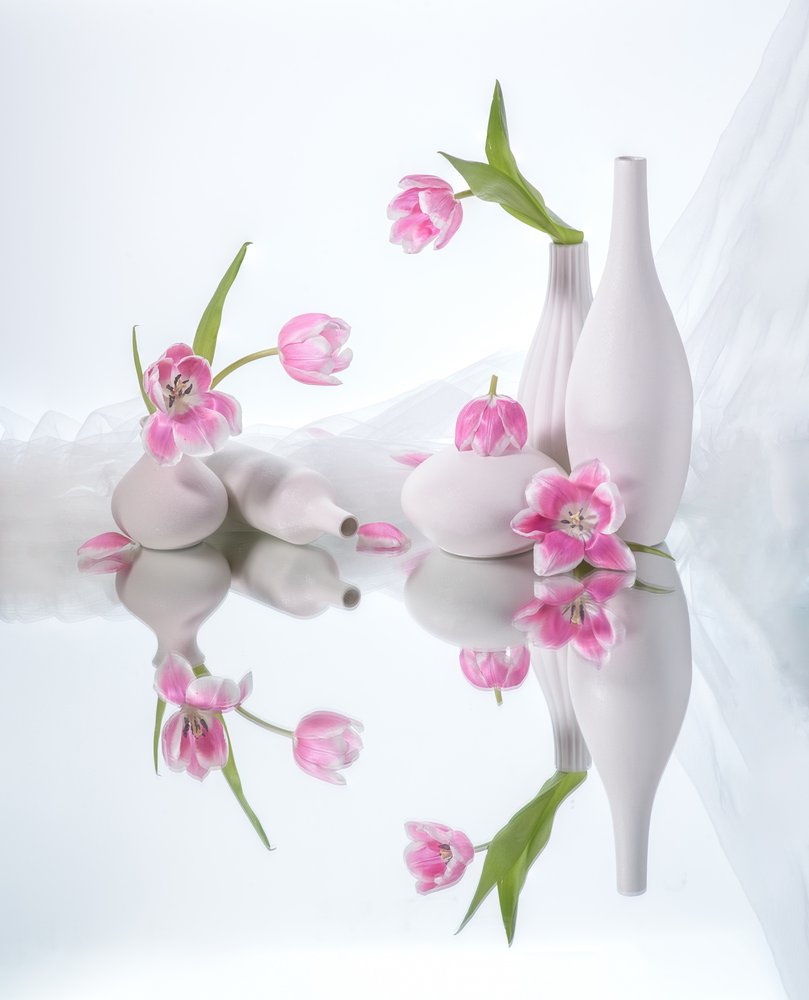 Rosa Tulpenreflexionen von Alice Sheng